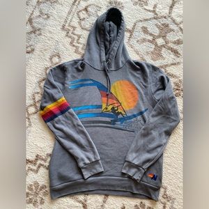 RARE Aviator Nation Wind Surf Gray Hoodie